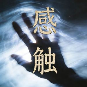 感触
