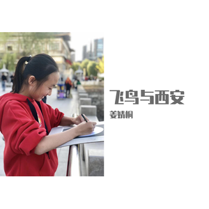 飞鸟与西安