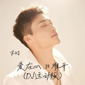 爱在心 口难开 (DJ运动版)