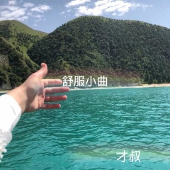 万吐碎够 (DJ版)