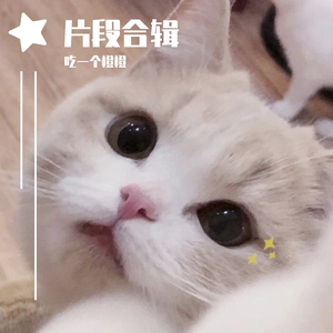 Melody 淡黄的长裙（翻自 李熙凝）