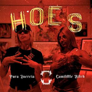 HOES (feat. Camilittle b***h)