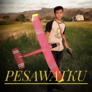 Pesawatku