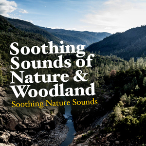 Blue Lake and Evergreen