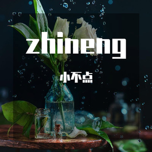zhinenggong