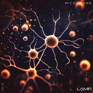 Roll On (Original Mix)