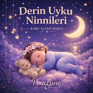 Sıcacık Gece Ninnisi – Warm Night Baby Sleep