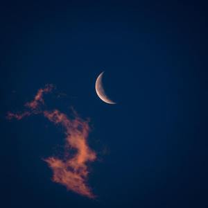 Sweet Dreams (Are Made of This) [Sped Up]