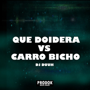 Que Doidera Vs Carro Bicho