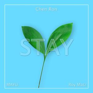 Stay (feat. Roy Matz)