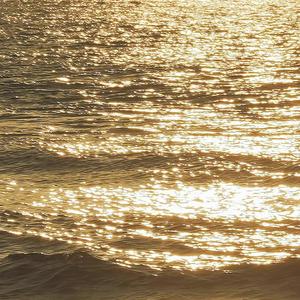 2022.05.08-14.49.19-下午_20220508_145222