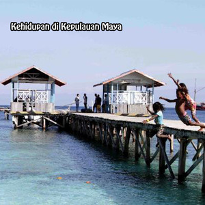 Kehidupan di Kepulauan Maya