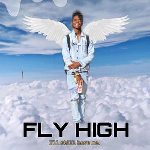 FLY HIGH