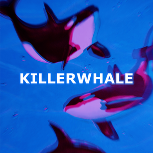 【BEAT】“KILLERWHALE”