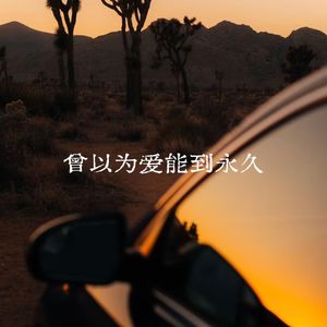 曾以为爱能到永久