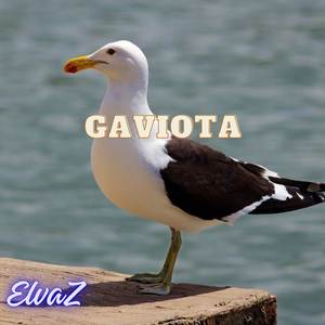 Gaviota