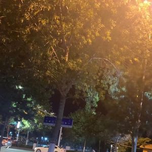 北京路（prod by C&R$Y）