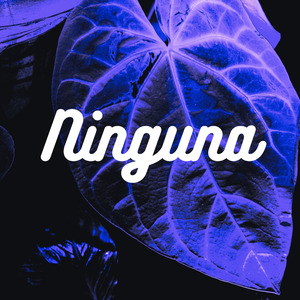 Ninguna