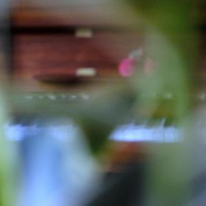 10-21 (In Memory of A Friendship)