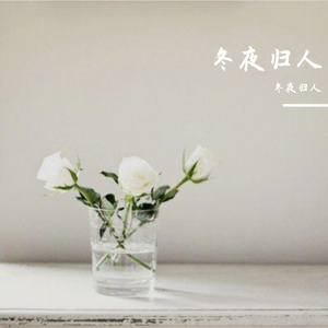 星际旅行者（第二版本）