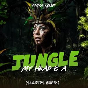 My Head Is A Jungle (SENATVS Remix)