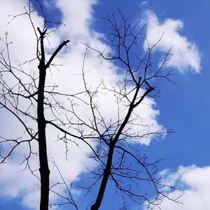 眼睛里看到的孤岛