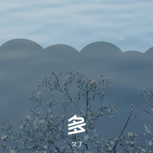 多久了