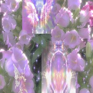 ✧no luv no pain✧