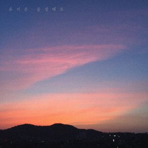 음성메모 (Inst.)