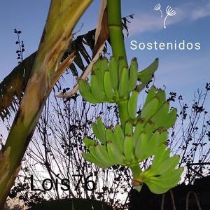 Sostenidos