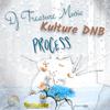 Kulture DNB - Process