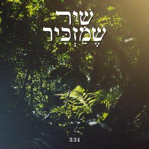שיר שמזכיר