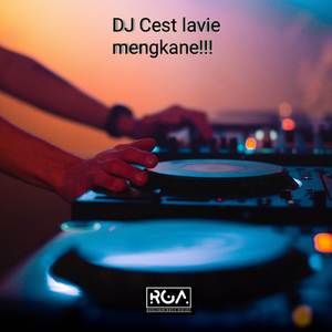 DJ CEST LAVIE JEDAG JEDUG FULL BEAT