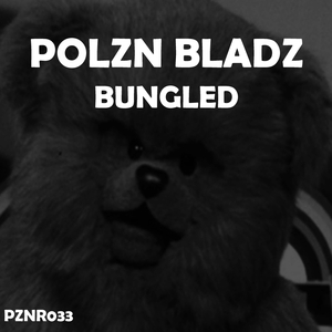 Bungled (Radio Edit)