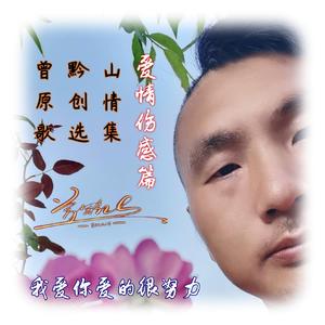 我爱你爱的很努力