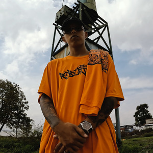 Ferro