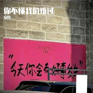 不会懂我的难过