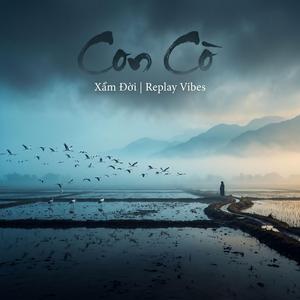 Con Cò - Xẩm Đời | Replay Vibes
