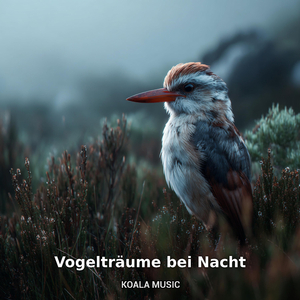 nächtliche Vogelklänge zur Ruhe, Pt.7