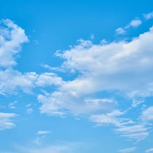 《我不是你的宋冬野》