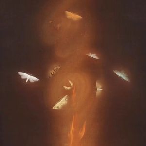 飞蛾（prodby.Yn1Jasper)