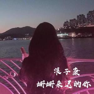 囧架架（DJ版）