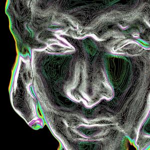 Tulipani in SI minore