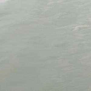 错把路灯当月光（翻自：小田音乐社）