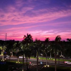 不再说话（翻自 三块木头）