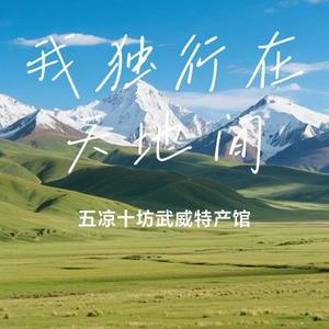 我独行在天地间