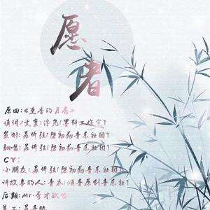愿者剧情版
