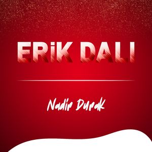 Erik Dalı Hıçkırık