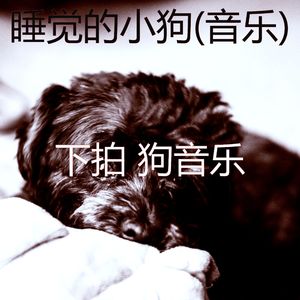 音乐-狗