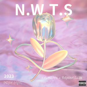 N.W.T.S (Feat.BaDeerKiller)